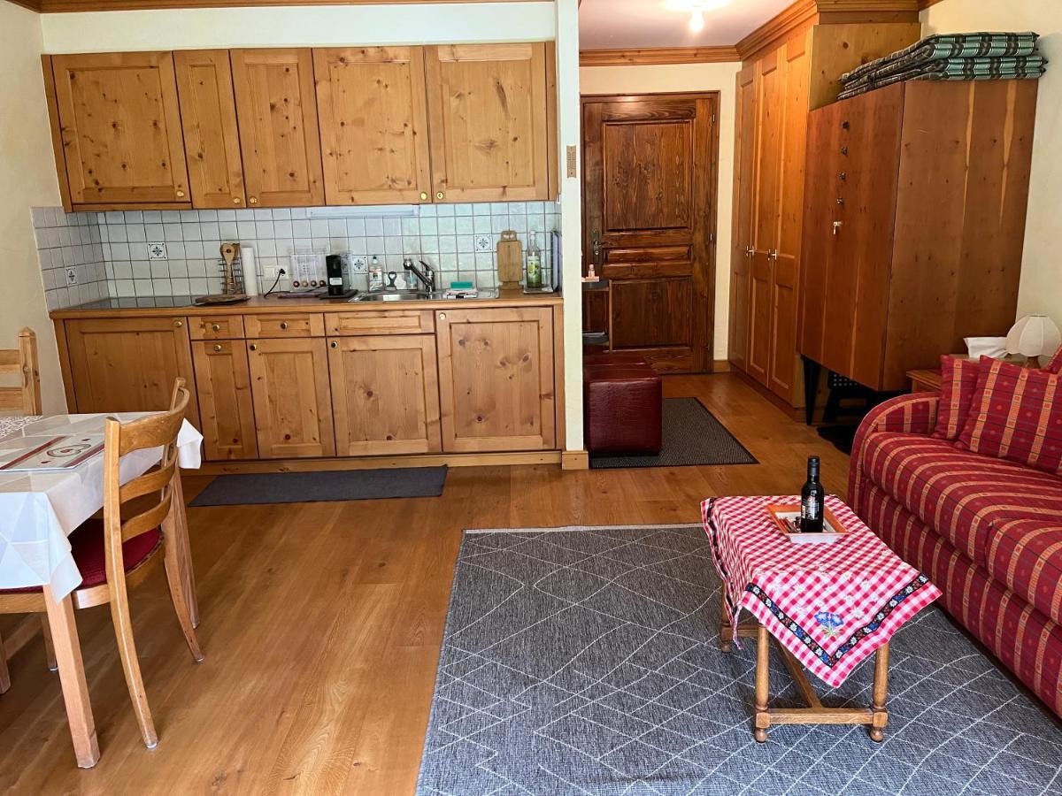 Studio - La Vieze Thermes Park Apartment Val dʼIlliez Екстериор снимка